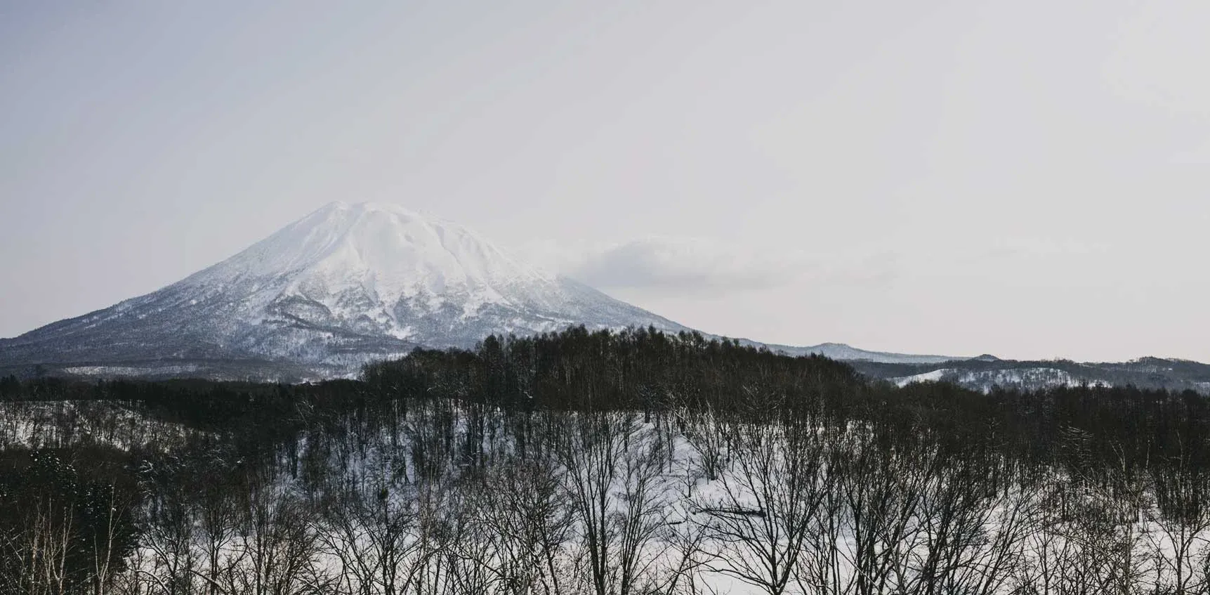 Snow Canvas Landscape