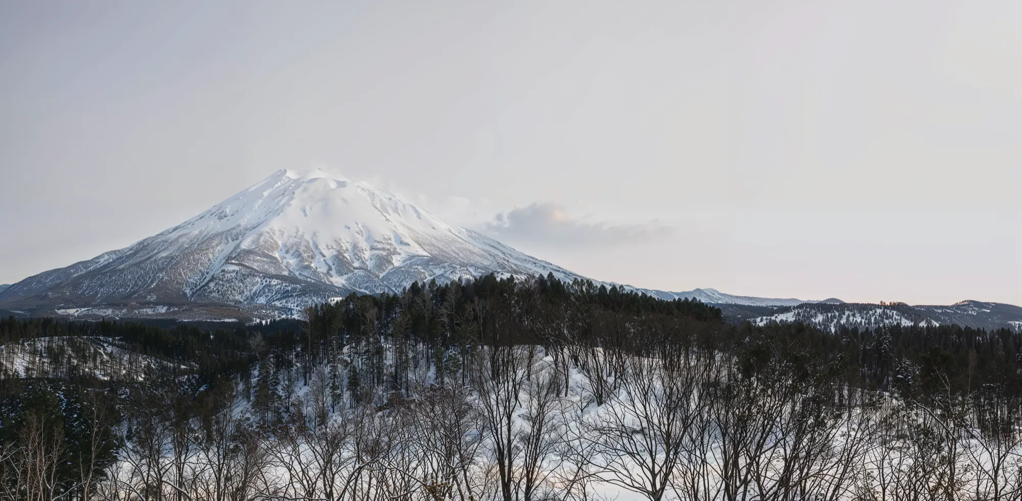 Snow Canvas Landscape