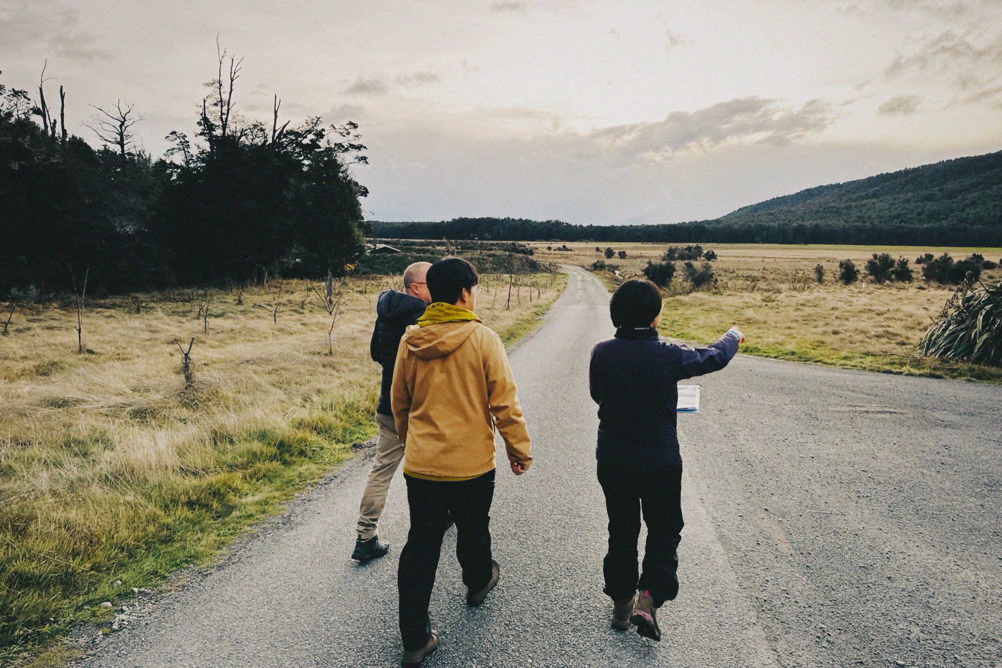 Team walking the site