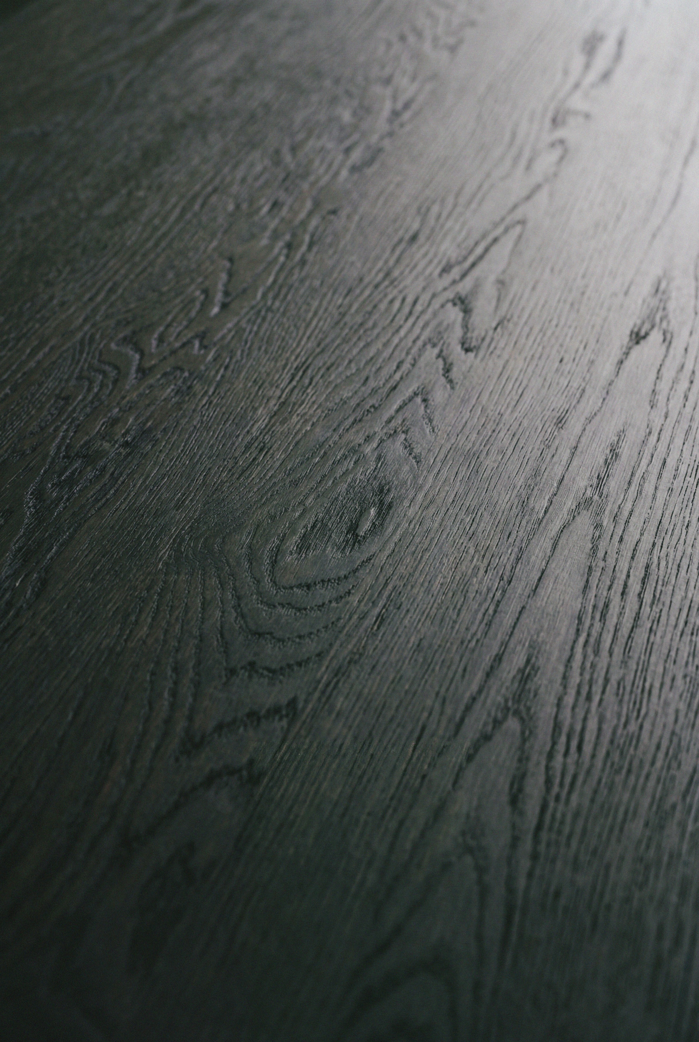 Charcoal oak grain macro