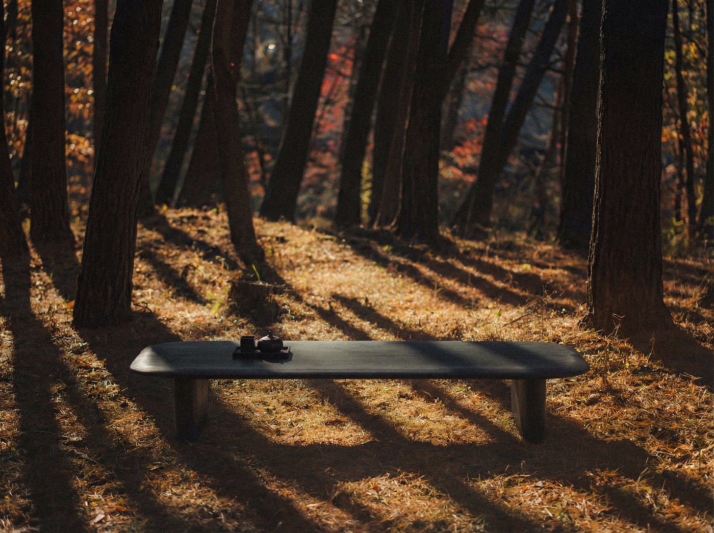 Shizu Low Table in autumn forest