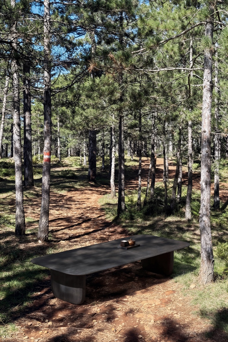 Shizu ローテーブル in forest setting